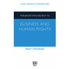 Advanced Introduction to Business and Human Rights