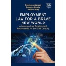 Employment Law for a Brave New World: A Common Law Employment Relationship for the 21st Century