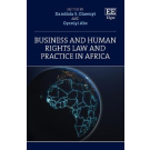 Business and Human Rights Law and Practice in Africa