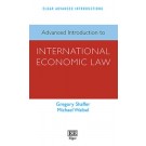 Advanced Introduction to International Economic Law