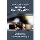 A Practical Guide to Spousal Maintenance