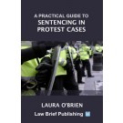 A Practical Guide to Sentencing in Protest Cases