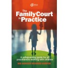 The Family Court in Practice: A safeguarding guide for all practitioners working with children