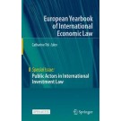 Public Actors in International Investment Law