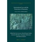 International Law and the Protection of Humanity: Essays in Honor of Flavia Lattanzi