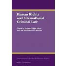 Human Rights and International Criminal Law