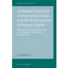 Unilateral Sanctions in International Law and the Enforcement of Human Rights: The Impact of the Principle of Common Concern of Humankind