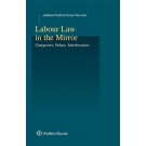Labour Law in the Mirror: Categories, Values, Interlocutors